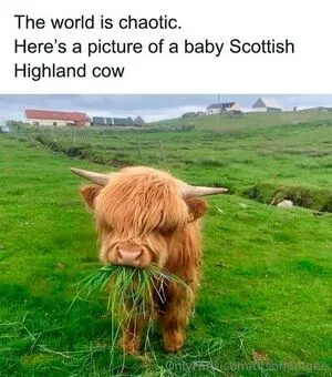 Titsohemgee OnlyFans Leaked Free Thumbnail Picture - #GoekVUv89r