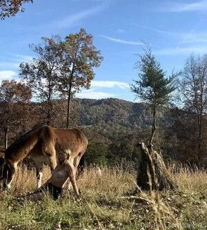 Tleigh95 OnlyFans Leaked Free Thumbnail Picture - #PIMmwczTov