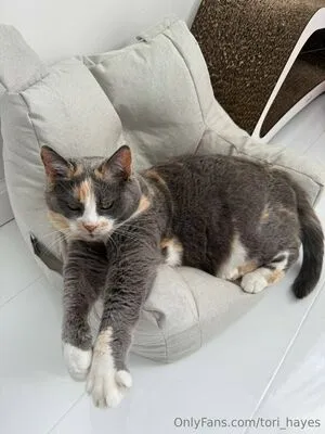 Tori Hayes OnlyFans Leaked Free Thumbnail Picture - #BqcRs0OTqq