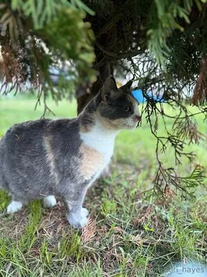 Tori Hayes OnlyFans Leaked Free Thumbnail Picture - #EDncfflGkp