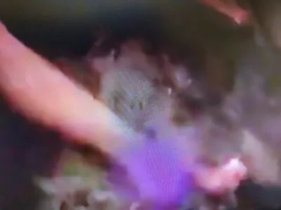 Torrie Wilson OnlyFans Leaked Free Thumbnail Picture - #YL0r3QzeQo