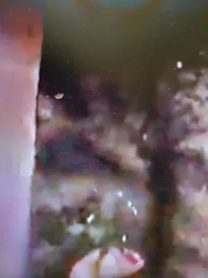 Torrie Wilson OnlyFans Leaked Free Thumbnail Picture - #loF6FIqUsB