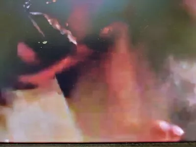 Torrie Wilson OnlyFans Leaked Free Thumbnail Picture - #sz12wNniFl