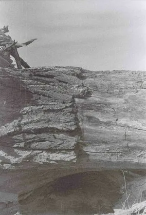 Tosca OnlyFans Leaked Free Thumbnail Picture - #5OO2wzqbUS