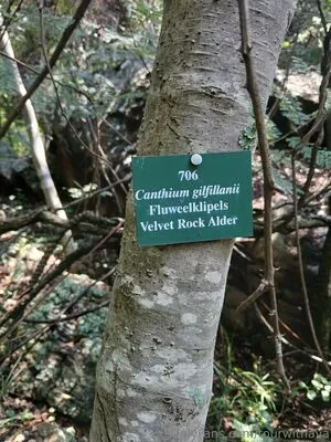 Tourwithava OnlyFans Leaked Free Thumbnail Picture - #3GjkiHiwyn