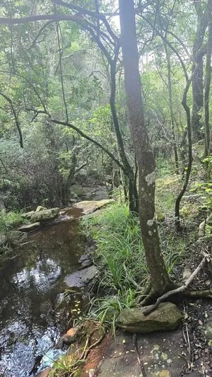 Tourwithava OnlyFans Leaked Free Thumbnail Picture - #DBdulEc08f