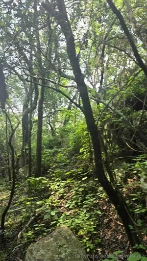 Tourwithava OnlyFans Leaked Free Thumbnail Picture - #Ee6WaZ70Xw