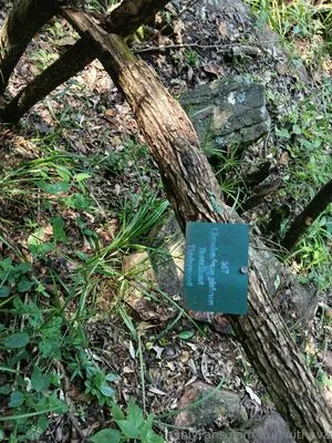 Tourwithava OnlyFans Leaked Free Thumbnail Picture - #FcfHkzfjAe