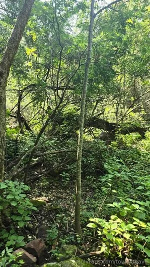 Tourwithava OnlyFans Leaked Free Thumbnail Picture - #GexqmHcIbm