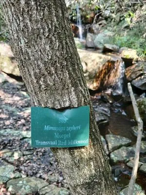 Tourwithava OnlyFans Leaked Free Thumbnail Picture - #USSkulSefX