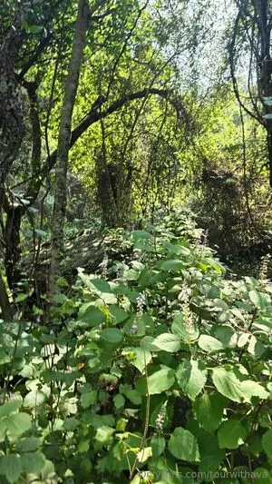 Tourwithava OnlyFans Leaked Free Thumbnail Picture - #Ut3q653nmz