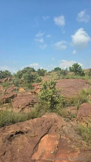 Tourwithava OnlyFans Leaked Free Thumbnail Picture - #pX82inBMpx