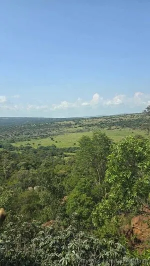 Tourwithava OnlyFans Leaked Free Thumbnail Picture - #ywSHMcnPi0