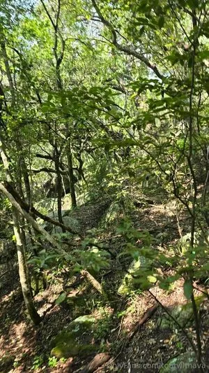 Tourwithava OnlyFans Leaked Free Thumbnail Picture - #zd8LuEuWhU