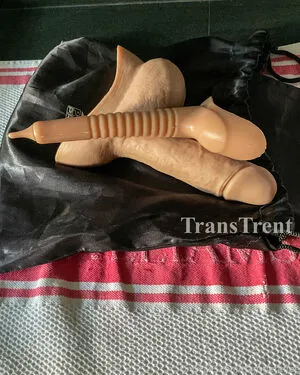 Transtrentfree OnlyFans Leaked Free Thumbnail Picture - #TgtcSRpY3z