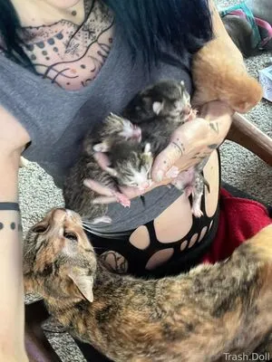 Trashdoll OnlyFans Leaked Free Thumbnail Picture - #QxuahnKO0V