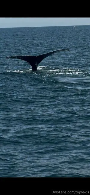 Triple Ds OnlyFans Leaked Free Thumbnail Picture - #5IRaFFaIH9