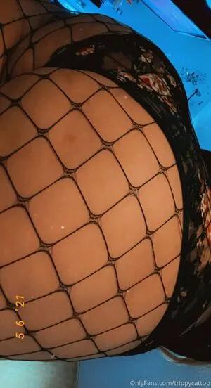 Trippycatto OnlyFans Leaked Free Thumbnail Picture - #PGK9pxMABb