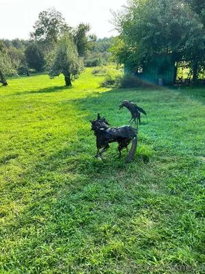 Trisha Moody OnlyFans Leaked Free Thumbnail Picture - #D5a1MvDbnU