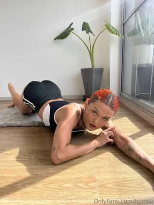 Ts Rosa OnlyFans Leaked Free Thumbnail Picture - #amPcUkTsWW