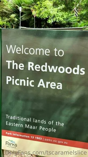 Tscaramelslice OnlyFans Leaked Free Thumbnail Picture - #JrCLUx9Fnk