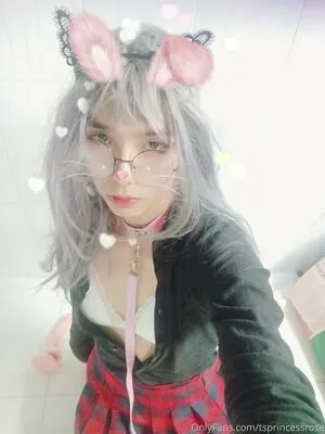 Tsprincessrose OnlyFans Leaked Free Thumbnail Picture - #VNJzgFMHUB