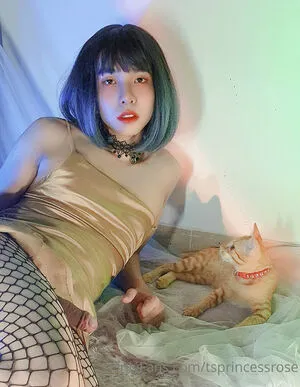 Tsprincessrose OnlyFans Leaked Free Thumbnail Picture - #nSibbLGcMP