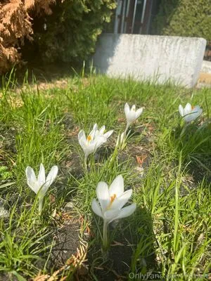 Tsrosie OnlyFans Leaked Free Thumbnail Picture - #w1jglXrxqH