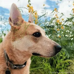 Ttwithmel OnlyFans Leaked Free Thumbnail Picture - #7m1MAGvCv1