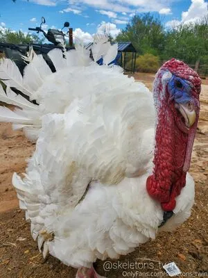 Twinkleskeleton OnlyFans Leaked Free Thumbnail Picture - #7wDIvzgMHc