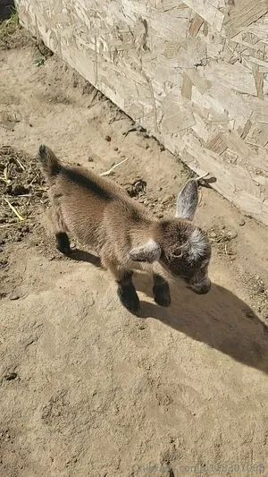 U128307005 OnlyFans Leaked Free Thumbnail Picture - #JQLL022vFp