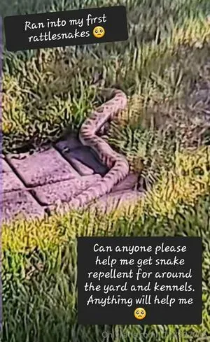 U128307005 OnlyFans Leaked Free Thumbnail Picture - #QXCyUp6fBs