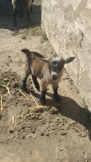 U128307005 OnlyFans Leaked Free Thumbnail Picture - #akjwLTokAT