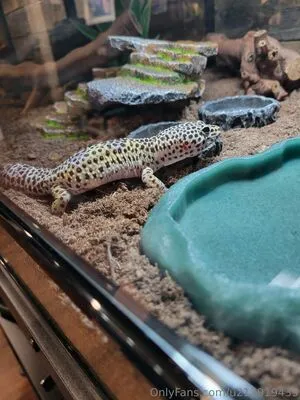 U213919435 OnlyFans Leaked Free Thumbnail Picture - #Am7O9slmlX