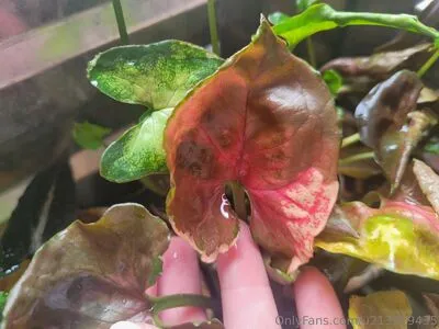 U213919435 OnlyFans Leaked Free Thumbnail Picture - #Eza8P78YF0