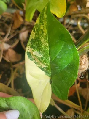 U213919435 OnlyFans Leaked Free Thumbnail Picture - #HspB03guRQ