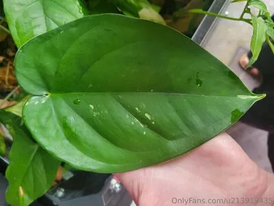 U213919435 OnlyFans Leaked Free Thumbnail Picture - #TFf1aCpLqY