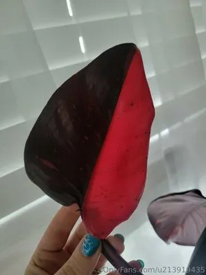 U213919435 OnlyFans Leaked Free Thumbnail Picture - #UdgfPRMJoe