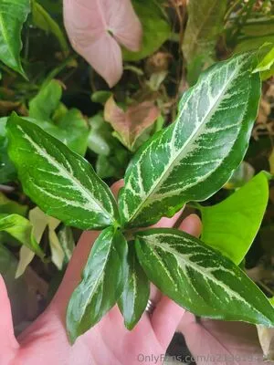 U213919435 OnlyFans Leaked Free Thumbnail Picture - #cJCVFD2CyB