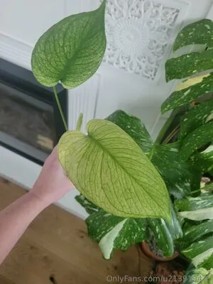 U213919435 OnlyFans Leaked Free Thumbnail Picture - #orl7K53GAs