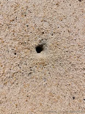 U348445583 OnlyFans Leaked Free Thumbnail Picture - #BUPrn7esUp