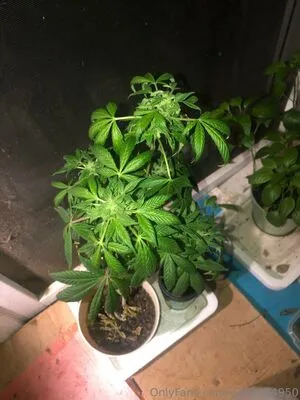 U362964950 OnlyFans Leaked Free Thumbnail Picture - #QaRCl6OVZ5