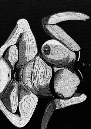 U464958276 OnlyFans Leaked Free Thumbnail Picture - #ZB0fHx1Uu3