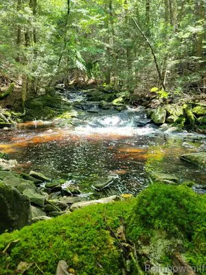 U69507126 OnlyFans Leaked Free Thumbnail Picture - #9gb8U22tC9