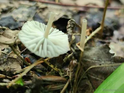 U69507126 OnlyFans Leaked Free Thumbnail Picture - #I6FEJdCSVN