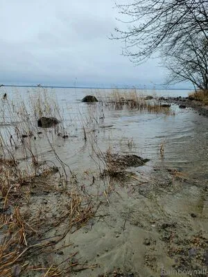 U69507126 OnlyFans Leaked Free Thumbnail Picture - #hwG4zZ86i3