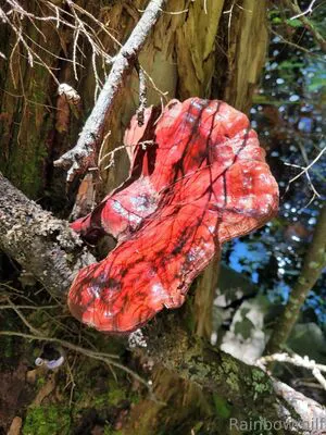 U69507126 OnlyFans Leaked Free Thumbnail Picture - #nErNl5QM30