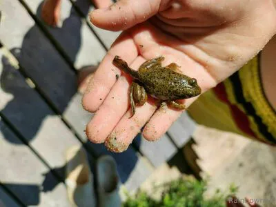 U69507126 OnlyFans Leaked Free Thumbnail Picture - #ooRDJw5mMU