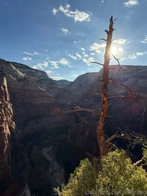 Uberdad OnlyFans Leaked Free Thumbnail Picture - #2z2kr9u48S