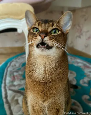 Ulolity OnlyFans Leaked Free Thumbnail Picture - #aS4M7oJfAk